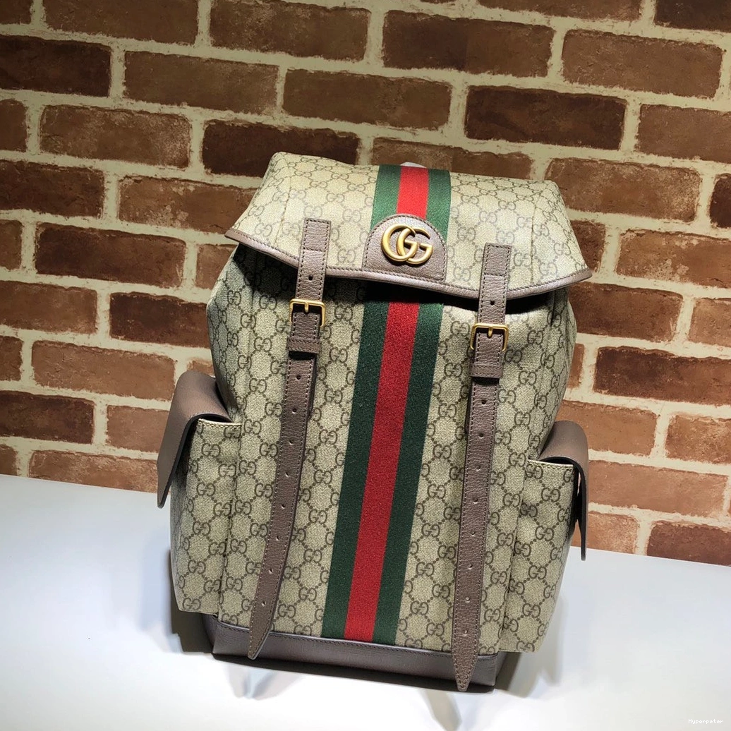 Hyper Peter Gucci Ophidia backpack GG medium 0728